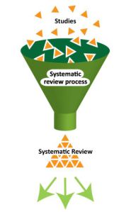 systematic-review